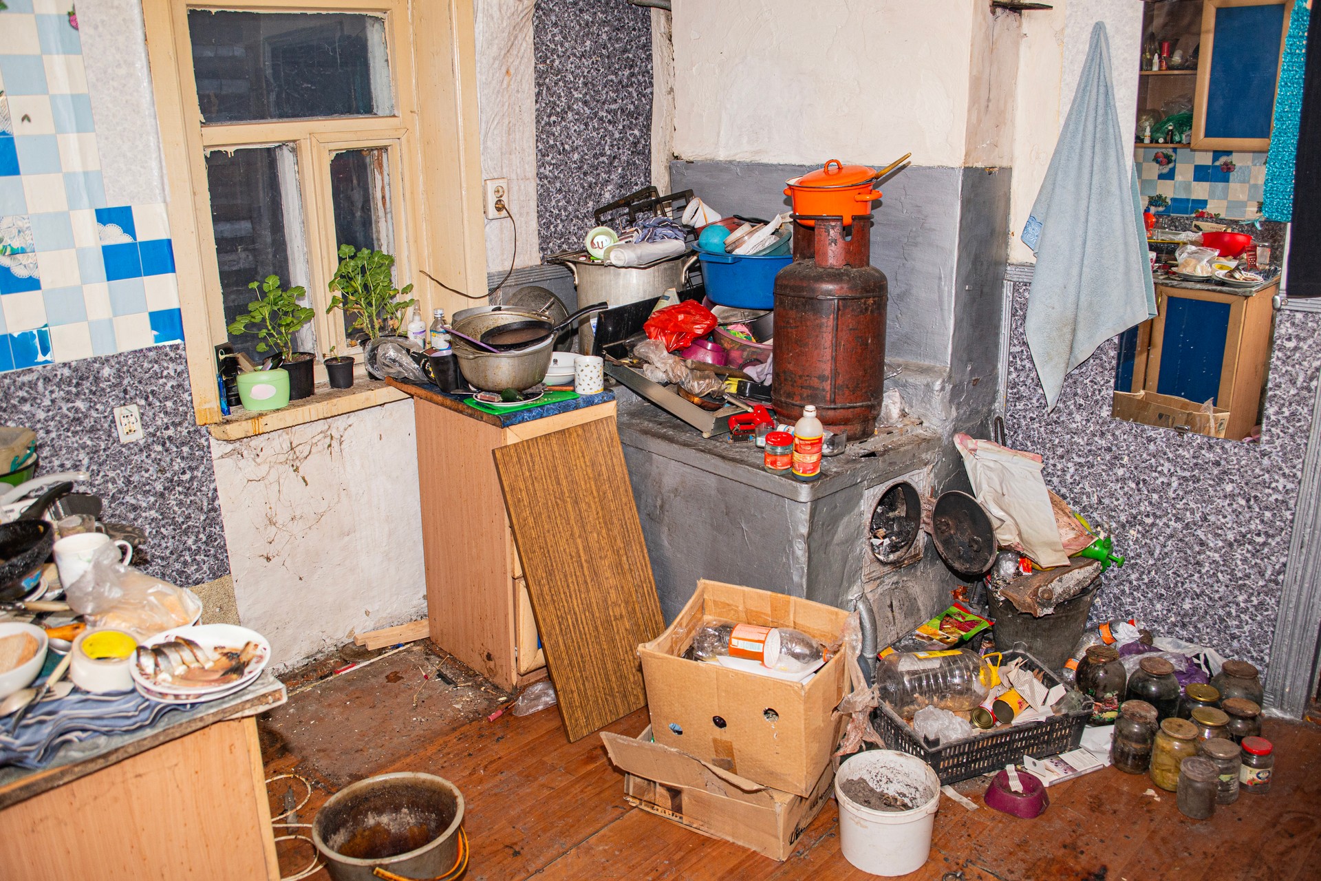 Suburban home wooden storage utility unit shed with miscellaneous stuff on shelves, bikes, exercise machine, ladder, garden tools and equipment. Messy and chaos at house yard barn. Organization order